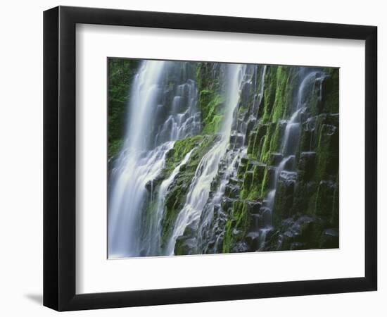 OR, Willamette NF. Three Sisters Wilderness, Lower Proxy Falls displays multiple cascades-John Barger-Framed Photographic Print