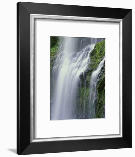 OR, Willamette NF. Three Sisters Wilderness, Lower Proxy Falls displays multiple cascades-John Barger-Framed Photographic Print