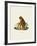 Orang-Outang-null-Framed Giclee Print