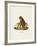 Orang-Outang-null-Framed Giclee Print