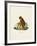 Orang-Outang-null-Framed Giclee Print