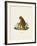 Orang-Outang-null-Framed Giclee Print