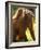 Orang Utan Female with Her Baby on Her Back. Captive, Iucn Red List of Endangered Species-Eric Baccega-Framed Photographic Print