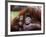 Orang-Utan Mother and Baby, April 1991-null-Framed Photographic Print