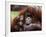 Orang-Utan Mother and Baby, April 1991-null-Framed Photographic Print