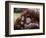 Orang-Utan Mother and Baby, April 1991-null-Framed Photographic Print