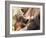 Orang-Utan (Pongo Pygmaeus), Mother and Young, in Captivity, Apenheul Zoo, Netherlands (Holland)-Thorsten Milse-Framed Photographic Print