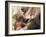 Orang-Utan (Pongo Pygmaeus), Mother and Young, in Captivity, Apenheul Zoo, Netherlands (Holland)-Thorsten Milse-Framed Photographic Print