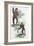 Orang Utang and Gibbon, 1822-null-Framed Giclee Print