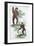 Orang Utang and Gibbon, 1822-null-Framed Giclee Print