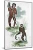 Orang Utang and Gibbon, 1822-null-Mounted Giclee Print