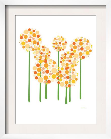 Orange Alliums-Avalisa-Framed Art Print
