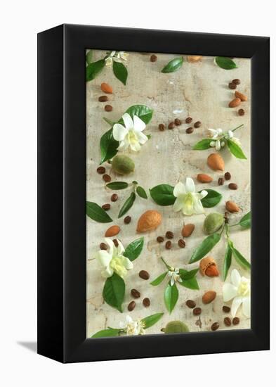 Orange and Almond Blossom, Coffee Beans and Almonds-Jocelyn Demeurs-Framed Premier Image Canvas