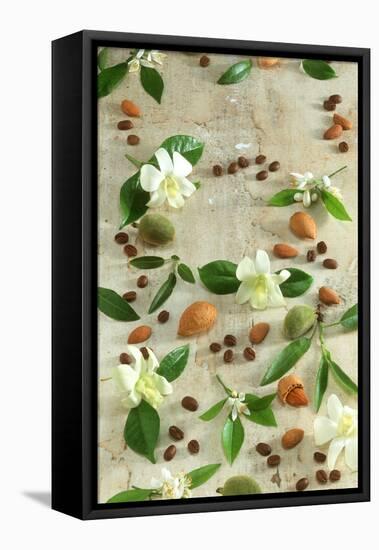 Orange and Almond Blossom, Coffee Beans and Almonds-Jocelyn Demeurs-Framed Premier Image Canvas