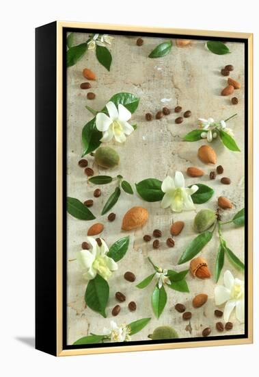 Orange and Almond Blossom, Coffee Beans and Almonds-Jocelyn Demeurs-Framed Premier Image Canvas