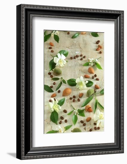 Orange and Almond Blossom, Coffee Beans and Almonds-Jocelyn Demeurs-Framed Photographic Print