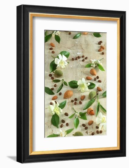 Orange and Almond Blossom, Coffee Beans and Almonds-Jocelyn Demeurs-Framed Photographic Print