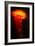 Orange and black-Peter Morneau-Framed Art Print