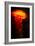 Orange and black-Peter Morneau-Framed Art Print