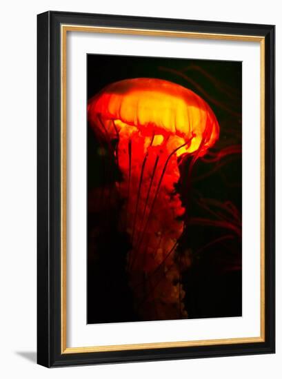 Orange and black-Peter Morneau-Framed Art Print