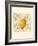 Orange and Botanicals-Megan Meagher-Framed Art Print