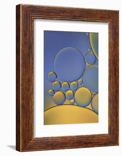 Orange and Purple Drops-Cora Niele-Framed Photographic Print