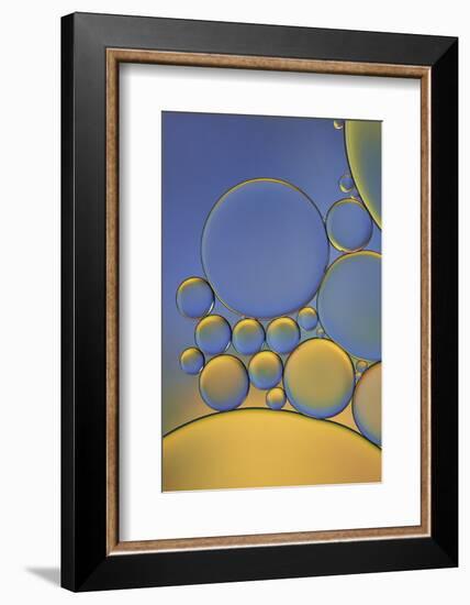 Orange and Purple Drops-Cora Niele-Framed Photographic Print