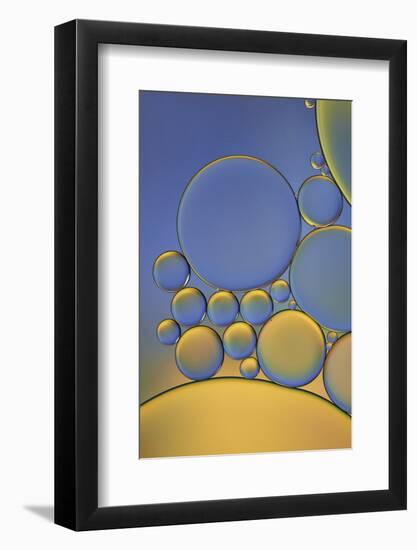 Orange and Purple Drops-Cora Niele-Framed Photographic Print