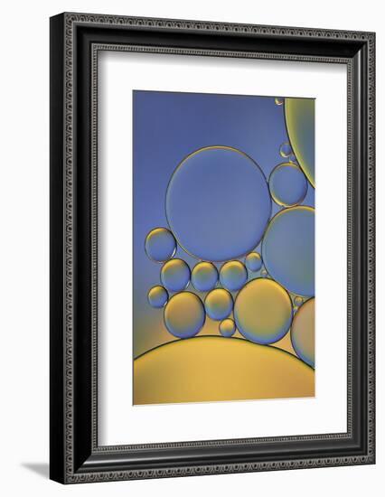 Orange and Purple Drops-Cora Niele-Framed Photographic Print