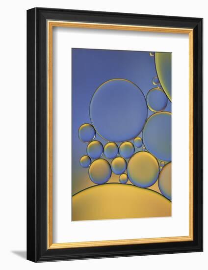 Orange and Purple Drops-Cora Niele-Framed Photographic Print