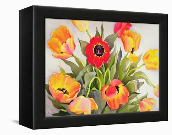 Orange and Red Tulips-Christopher Ryland-Framed Premier Image Canvas