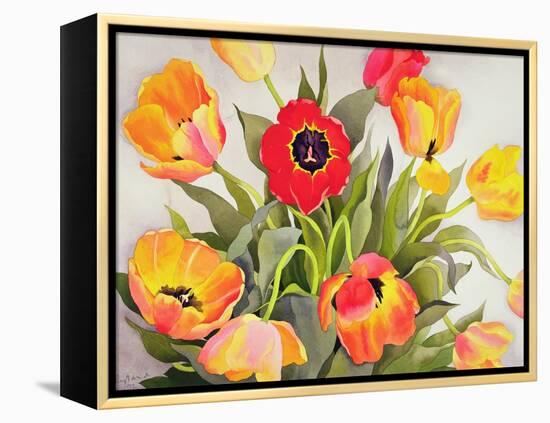 Orange and Red Tulips-Christopher Ryland-Framed Premier Image Canvas