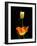 Orange And White Tulips-Charles Bowman-Framed Photographic Print