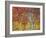 Orange and Yellow Aspen Leaves, White River National Forest, Colorado, United States of America-James Hager-Framed Photographic Print