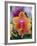 Orange and Yellow Orchid-Darrell Gulin-Framed Photographic Print