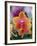 Orange and Yellow Orchid-Darrell Gulin-Framed Photographic Print