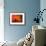 Orange Anemone, Ito Sea-Charles Glover-Framed Art Print displayed on a wall