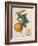 Orange Balotin-Pierre Antoine Poiteau-Framed Giclee Print