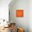 Orange Bear Polygon-Lisa Kroll-Mounted Art Print displayed on a wall