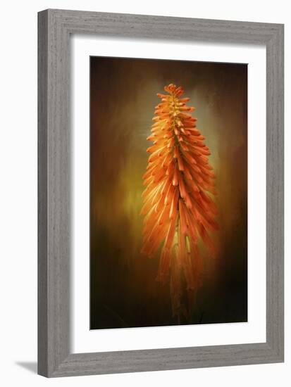 Orange Blast in the Garden-Jai Johnson-Framed Giclee Print