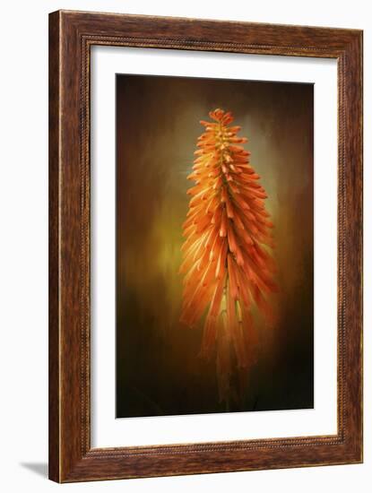 Orange Blast in the Garden-Jai Johnson-Framed Giclee Print