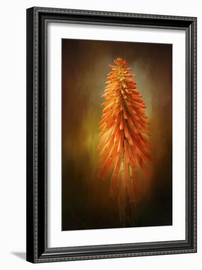 Orange Blast in the Garden-Jai Johnson-Framed Giclee Print