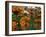 Orange Blooms-Nicole Katano-Framed Photo