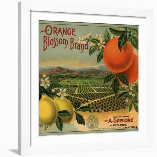 Orange Blossom Brand - Redlands, California - Citrus Crate Label-Lantern Press-Framed Giclee Print