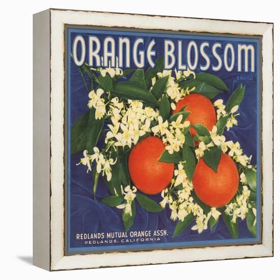 Orange Blossom Brand - Redlands, California - Citrus Crate Label-Lantern Press-Framed Stretched Canvas
