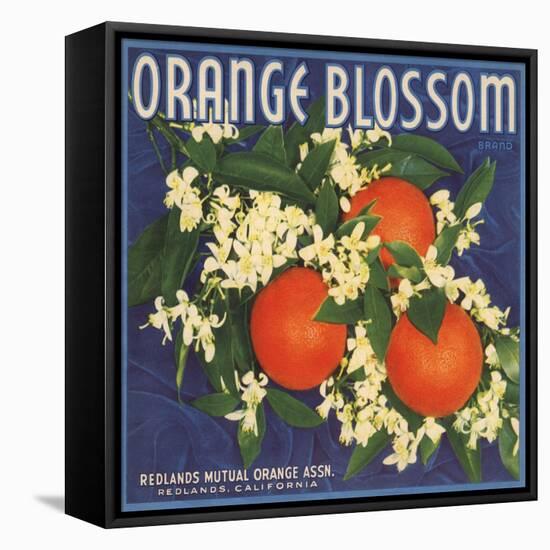 Orange Blossom Brand - Redlands, California - Citrus Crate Label-Lantern Press-Framed Stretched Canvas