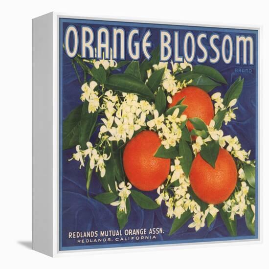 Orange Blossom Brand - Redlands, California - Citrus Crate Label-Lantern Press-Framed Stretched Canvas