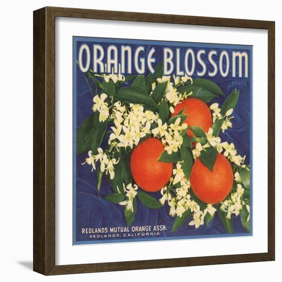 Orange Blossom Brand - Redlands, California - Citrus Crate Label-Lantern Press-Framed Art Print