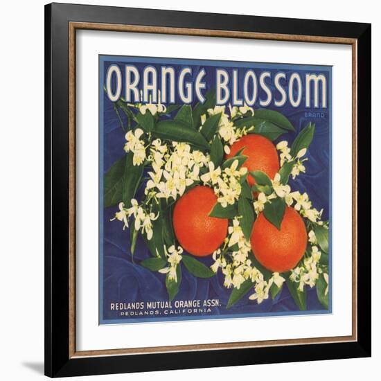 Orange Blossom Brand - Redlands, California - Citrus Crate Label-Lantern Press-Framed Art Print