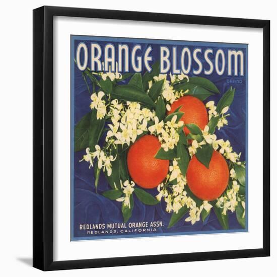 Orange Blossom Brand - Redlands, California - Citrus Crate Label-Lantern Press-Framed Art Print